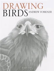 Knjiga Drawing Birds