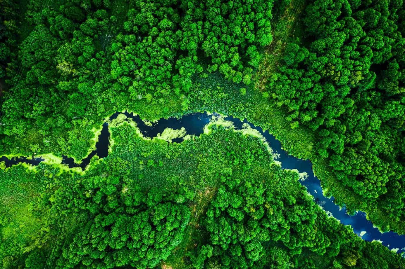 cenejše tiskanje, okolju prijazno tiskanje in printanje