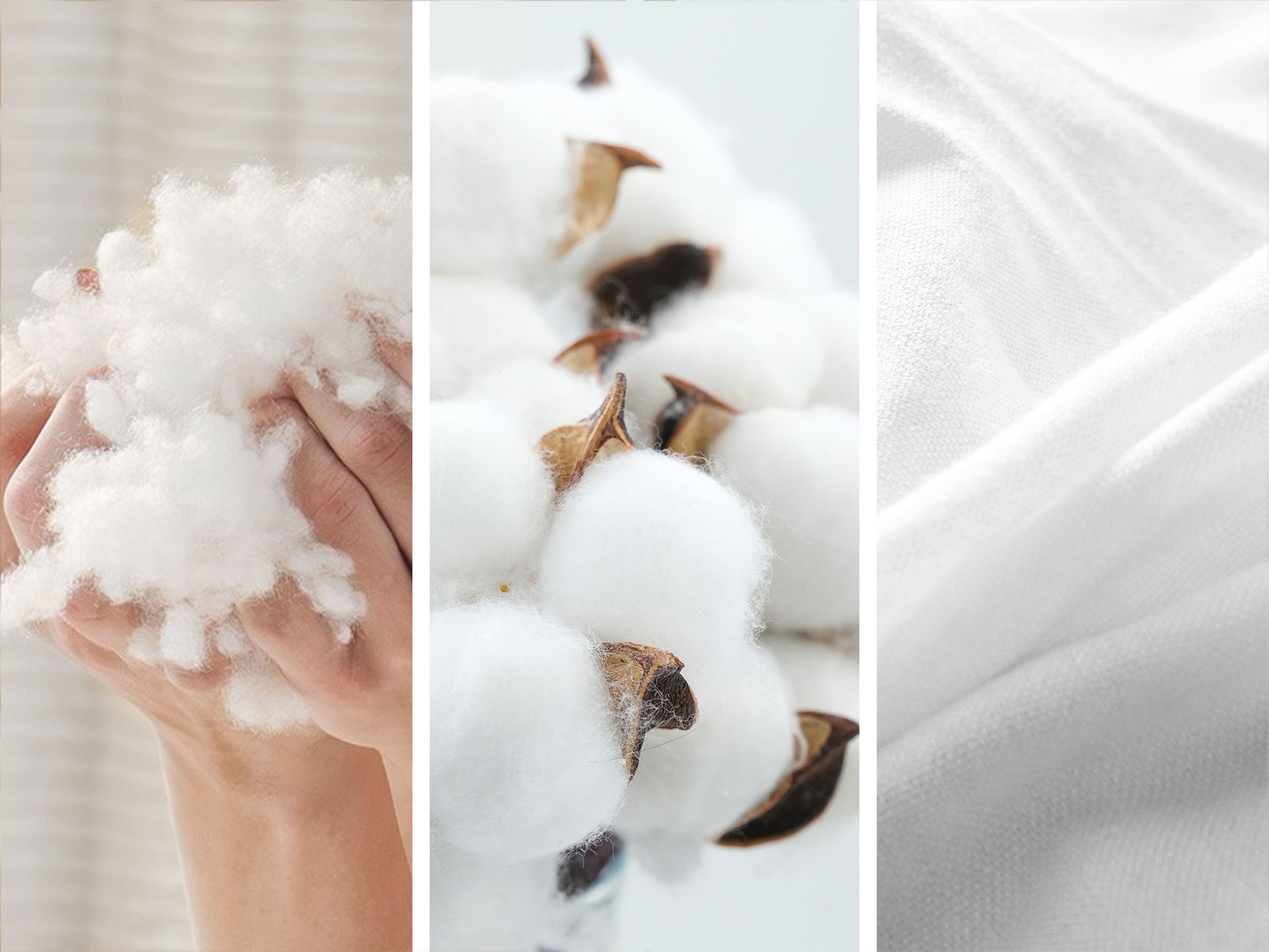 Vlakna Wellsleep®, bombaž & vlakna Tencel™ Modal