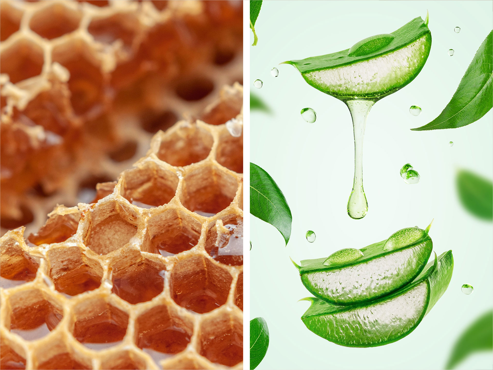 Propolis & Aloe Vera