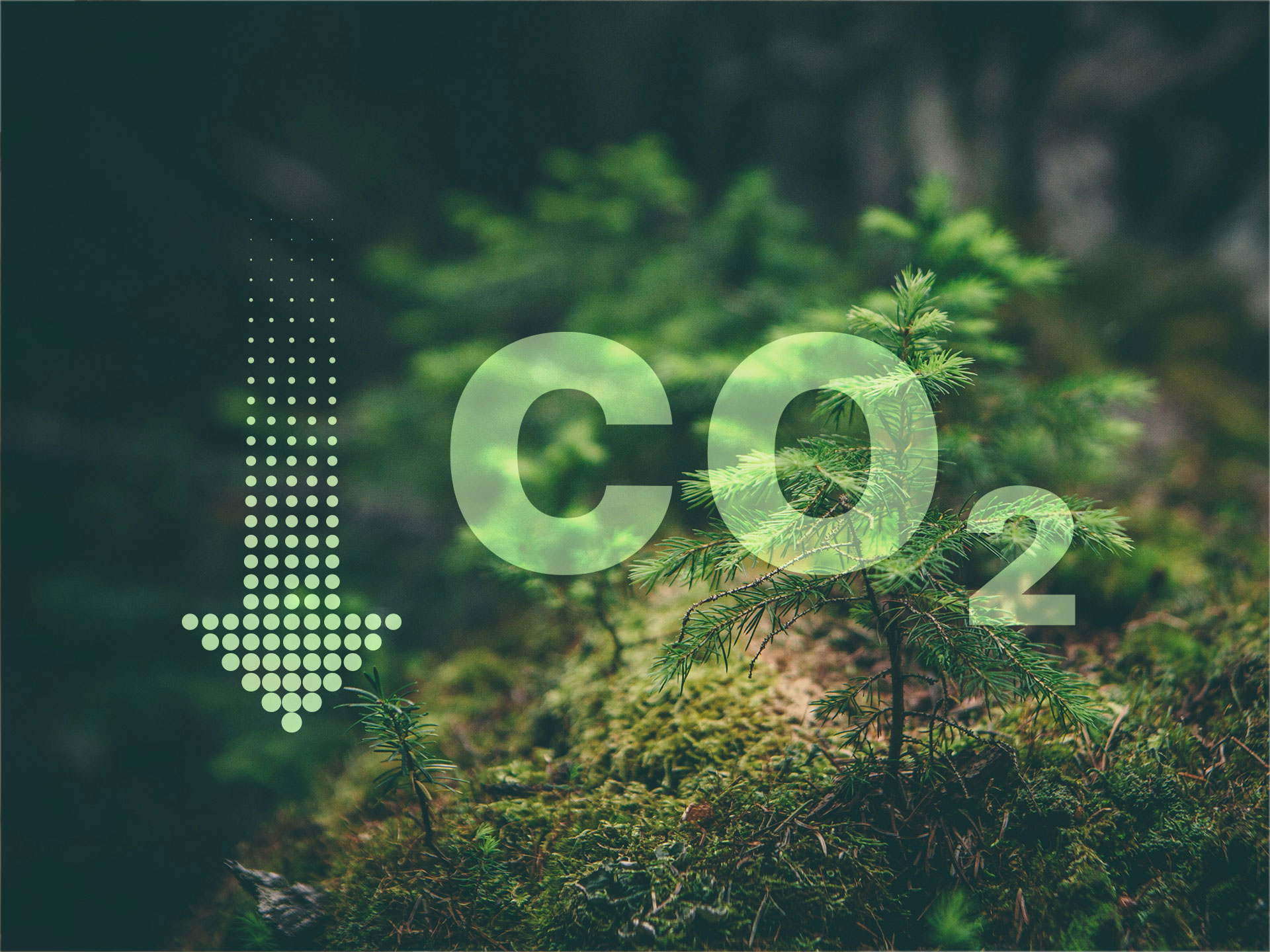 Lokalna proizvodnja, nižje emisije