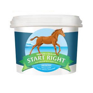 Prehranski dodatki in zdravila za konje