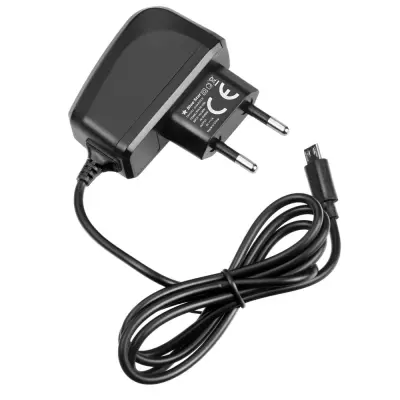 Hišni polnilec micro USB 2A