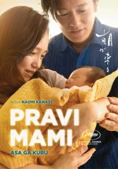 PRAVI MAMI - DVD SL. POD.