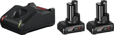 Bosch Professional GAL 12V-40 +2x GBA 6.0Ah 1600A01B20 akumulator in polnilec orodja  12 V 6 Ah Li-Ion