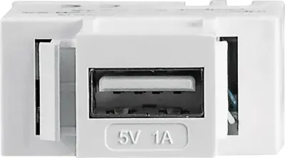 Intellinet USB 2.0 adapter [1x 2-žilni kabel - 1x ženski konektor USB 2.0 tipa A] Modularbuchse mit USB Typ A-Ladeport USB-Port mit 5 V/1 A Ausgangsle
