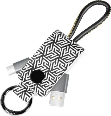 LogiLink CU0164 - kabel USB 3.2, USB-C/M do USB-A/M, obeski za ključe, sivi, 0,22 m LogiLink USB kabel USB 2.0 USB-C vtič, USB-A vtič 0.22 m črna CU01