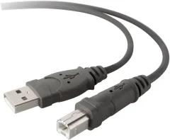 Belkin USB kabel USB 2.0 USB-A vtič\, USB-B vtič 3.00 m siva  F3U133b10