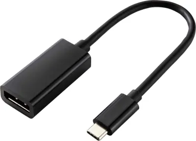 Renkforce USB-C® / DisplayPort adapterski kabel USB-C® vtič\, DisplayPort  vtičnica 0.14 m črna RF-4613070  USB-C®-Display kabel