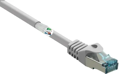 Renkforce RF-5047494 RJ45 omrežni kabel\, Patch kabel CAT 6a S/FTP 0.50 m siva z zaščitnim zapornim zatičem\, ognjevaren 1 kos