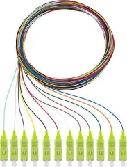 Rutenbeck 228040702 steklena vlakna optična vlakna priključni kabel [12x moški konektor sc - 12x prosti konec]  Multimode OM5