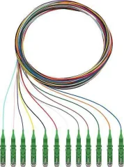 Rutenbeck 228041302 steklena vlakna optična vlakna priključni kabel [12x LSH-vtič - 12x prosti konec]