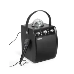 Zvočnik Disco z mikrofonom BT-X53
