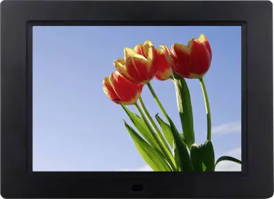 Braun Phototechnik DigiFrame 857 digitalni foto okvir 20.3 cm 8 palec EEK: B (A - G) 1024 x 768 Pixel  črna