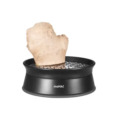 Strgalo, ribežen za ingver, muškatni orešček, hren, citruse 9,5cm / inox, pvc