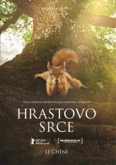 HRASTOVO SRCE - DVD SL. POD.