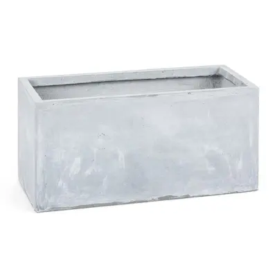 Blumfeldt Solidflor Sadike za sajenje, Siva