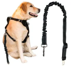 Varnostni pas za psa – elastičen povodec za v avto do 80cm