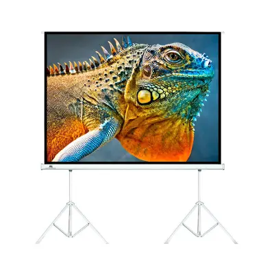 Projekcijsko platno Maclean MC-712 300 x 225 cm