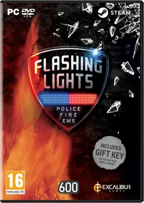 FLASHING LIGHTS PC