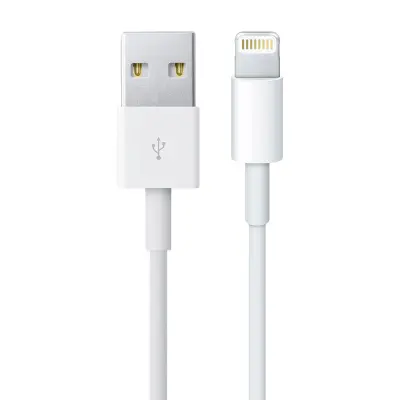 IPhone (Lightning) polnilni kabel/USB - sinhronizacija in polnjenje, bela
