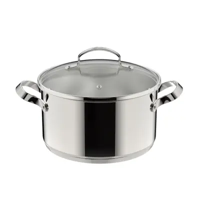 Icona kozica s pokrovom 20cm / 3,3l / indukcija / inox