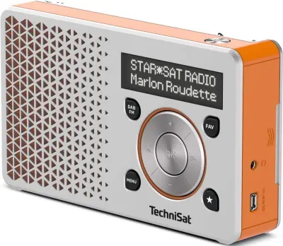 Technisat digitalradio digitradio1 si/ali