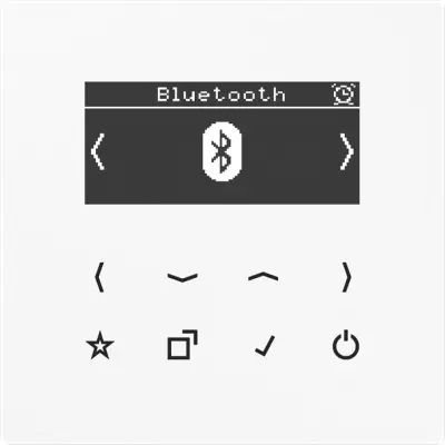 Jung Smart Dab+ DigitalRadio Dab ls Bt WW