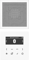 Jung Smart Dab+ DigitalRadio DAB LS1 BT WW