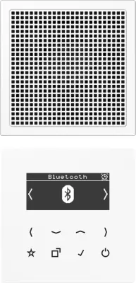 Jung Smart Dab+ DigitalRadio DAB LS1 BT WW