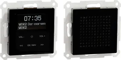 Merten Dab + Radio Set MEG4375-0303