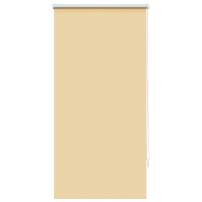 Roleta / Senčilo za Zatemnitev Oken 60 x 120 cm Bež Barve