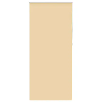 Roleta za okna 120 x 230 cm bež