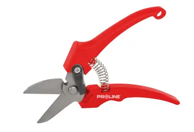 ROČNE ŠKARJE ZA CVETJE, INOX, 8 ", PROLINE