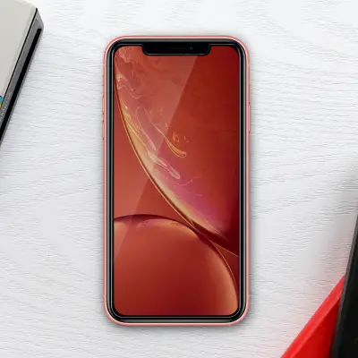 Protivohunska filmska folija iz 2,5D zatemnjenega kaljenega stekla, odpornost 9H str. Apple iPhone 11 in XR