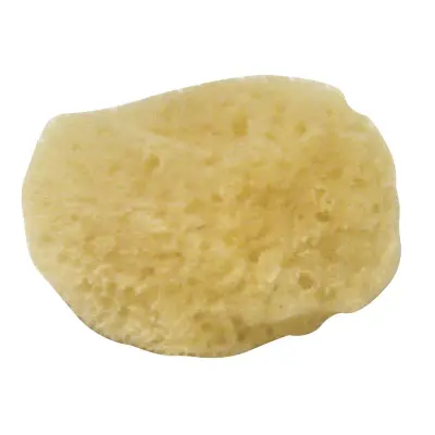 Gobica, 3,5-5 cm, 5 kosov