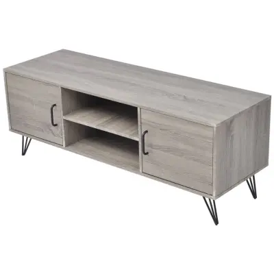 vidaXL TV omarica 120x40x45 cm siva