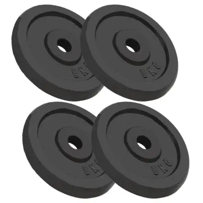 vidaXL Uteži 4 kosi 4x5 kg lito železo