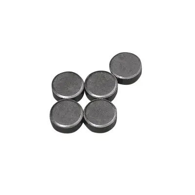 Magneti, 13 mm o. debelina 5 mm, 5 kom.
