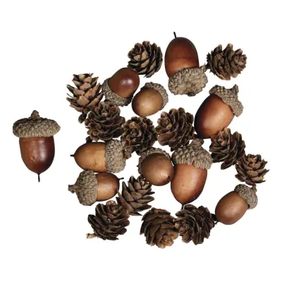 Natur mix, z želodom 2-4cm, 27 kosov