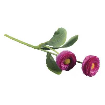 Marjetica, roza, 23cm, dva cvetova