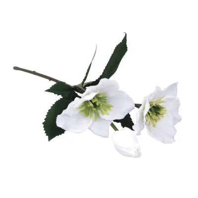Teloh 35 cm bel