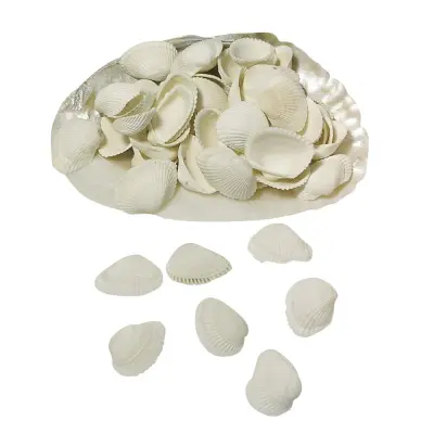 Školjke 250g