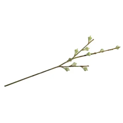 Vejica Eukaliptus fruit, 40cm