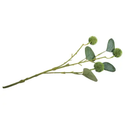 Vejica Eukaliptus s sadeži, 40cm