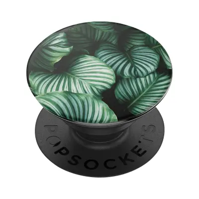 PopGrip Tropical Design PopSockets, držalo in nosilec za video za pametni telefon