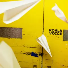 KOALA VOICE - LP/PLATA (180 G) (YELLOW)