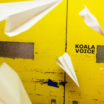 KOALA VOICE - LP/PLATA (180 G) (YELLOW)