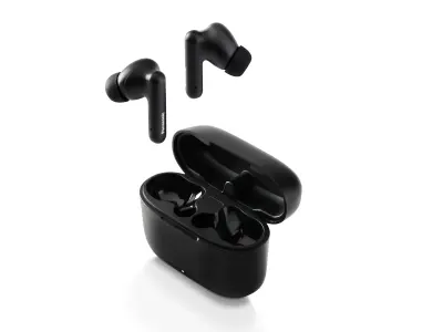 Panasonic TWS slušalke RZ-B110WDE-K RZ-B110WDE-K