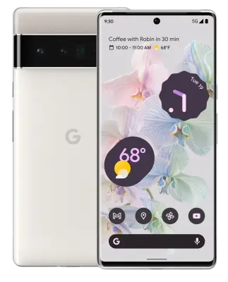 Google Pixel 6 Pro 5G Dual-SIM